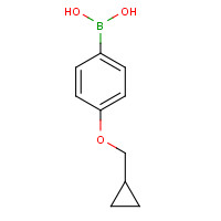 411229-67-9 4-(CYCLOPROPYLMETHOXY)BENZENEBORONIC ACID chemical structure
