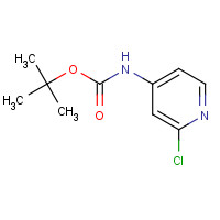 234108-73-7 4-AMINO-2-CHLOROPYRIDINE,N-BOC PROTECTED 98 chemical structure