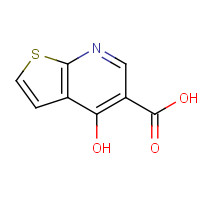 55503-32-7 4-HYDROXYTHIENO[2,3-B]PYRIDINE-5-CARBOXYLIC ACID chemical structure