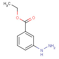 90556-87-9 3-HYDRAZINO-BENZOIC ACID ETHYL ESTER chemical structure