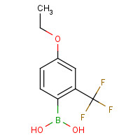 313545-39-0 4-ETHOXY-2-(TRIFLUOROMETHYL)BENZENEBORONIC ACID chemical structure