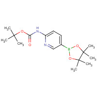 910462-31-6 2-(tert-butoxycarbonylamino)pyridine-5-boronic acid,pinacol ester chemical structure