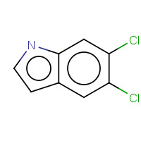 121859-57-2 5,6-DICHLOROINDOLE chemical structure