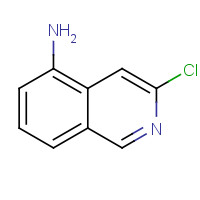 58142-49-7 5-Isoquinolinamine,3-chloro-(9CI) chemical structure
