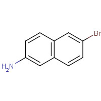 7499-66-3 2-Amino-6-bromonaphthalene chemical structure