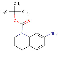 351324-70-4 tert-butyl 7-amino-3,4-dihydroquinoline-1(2H)-carboxylate chemical structure