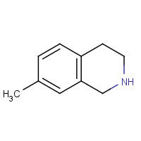 207451-81-8 7-METHYL-1,2,3,4-TETRAHYDRO-ISOQUINOLINE chemical structure