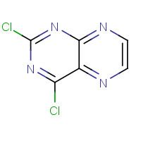 98138-05-7 2,4-Dichloropteridine chemical structure