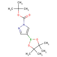 552846-17-0 1-Boc-pyrazole-4-boronic acid pinacol ester chemical structure