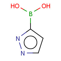 376584-63-3 Pyrazole-3-boronic acid chemical structure