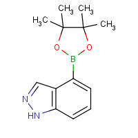885618-33-7 4-(4,4,5,5-TETRAMETHYL-[1,3,2]DIOXABOROLAN-2-YL)-1H-INDAZOLE chemical structure