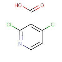 262423-77-8 2,4-Dichloropyridine-3-carboxylic acid chemical structure
