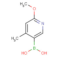503184-35-8 2-METHOXY-4-METHYL-PYRIDINE-5-BORONIC ACID chemical structure