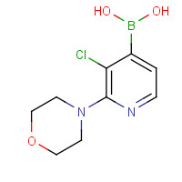 957061-04-0 3-chloro-2-morpholino-4-pyridineboronic acid chemical structure