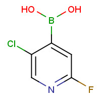 1034659-38-5 (5-CHLORO-2-FLUOROPYRIDIN-4-YL)BORONIC ACID chemical structure