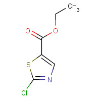 81449-93-6 ETHYL 2-CHLOROTHIAZOLE-5-CARBOXYLATE chemical structure
