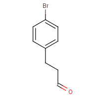 80793-25-5 3-(4-BROMO-PHENYL)-PROPIONALDEHYDE chemical structure