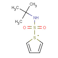 100342-30-1 N-tert-Butyl-2-thiophenesulfonamide chemical structure
