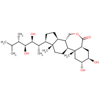 78821-42-8 22S,23S-EPIBRASSINOLIDE chemical structure