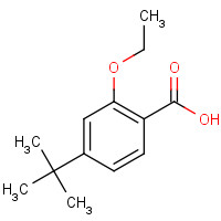 796875-53-1 4-(t-Butyl)-2-Ethoxy Benzoic Acid chemical structure