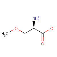 19794-53-7 DL-O-METHYLSERINE chemical structure