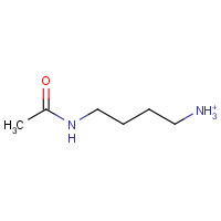 18233-70-0 N-Acetylputrescine hydrochloride chemical structure