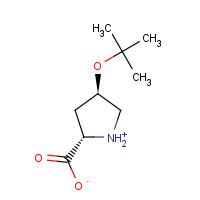 79775-07-8 H-Hyp(tBu)-OH chemical structure