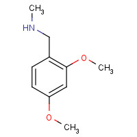 102503-23-1 N-(2,4-Dimethoxybenzyl)-N-methylamine chemical structure