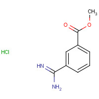 18219-39-1 3-Methoxycarbonylbenzamidinehydrochloride chemical structure