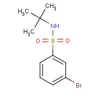 308283-47-8 3-Bromo-N-tert-butyl-benzenesulfonamide chemical structure