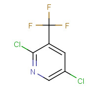 70158-59-7 2,5-DICHLORO-3-(TRIFLUOROMETHYL)PYRIDINE chemical structure
