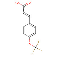 783-13-1 3-[4-(Trifluoromethoxy)phenyl]acrylic acid chemical structure