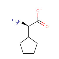 2521-86-0 D-Cyclopentylglycine chemical structure
