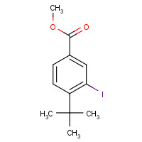 91639-30-4 methyl 4-tert-butyl-3-iodobenzoate chemical structure