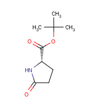 85136-12-5 (S)-2-PYRROLIDONE-5-CARBOXYLIC ACID T-BUTYL ESTER chemical structure