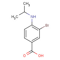 1131615-09-2 3-bromo-4-(isopropylamino)benzoic acid chemical structure