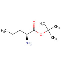 119483-47-5 L-Norvaline tert-butyl ester hydrochloride chemical structure