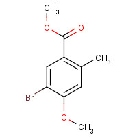1131587-94-4 methyl 5-bromo-4-methoxy-2-methylbenzoate chemical structure