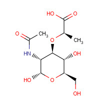 61633-75-8 2-ACETAMIDO-2-DEOXY-3-O-[D-1'-CARBOXYETHYL]-D-GLUCOPYRANOSE chemical structure