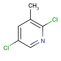 59782-88-6 2,5-DICHLORO-3-PICOLINE chemical structure