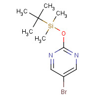 121519-00-4 5-BROMO-2-(TERT-BUTYLDIMETHYLSILYLOXY)PYRIMIDINE chemical structure