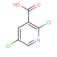 59782-85-3 2,5-Dichloronicotinic acid chemical structure