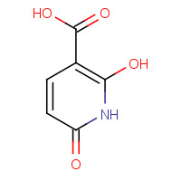 10357-91-2 2,6-Dihydroxynicolinic acid chemical structure