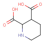 8249-15-3 piperidine-2,3-dicarboxylic acid chemical structure
