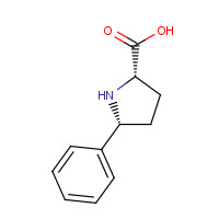 158567-93-2 (2S,5R)-5-PHENYLPYRROLIDINE-2-CARBOXYLIC ACID chemical structure