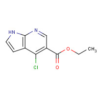 885500-55-0 4-Chloro-1H-pyrrolo[2,3-b]pyridine-5-carboxylic acid ethyl ester chemical structure