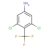 496052-55-2 3,5-DICHLORO-4-(TRIFLUOROMETHYL)ANILINE chemical structure