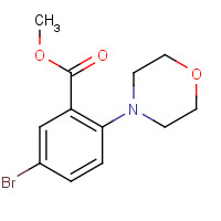 1131587-79-5 methyl 5-bromo-2-morpholinobenzoate chemical structure