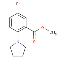 1131587-88-6 methyl 5-bromo-2-(pyrrolidin-1-yl)benzoate chemical structure