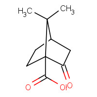 464-78-8 Bicyclo[2.2.1]heptane-1-carboxylic acid,7,7-dimethyl-2-oxo- chemical structure
